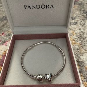Pandora Charm Bracelet